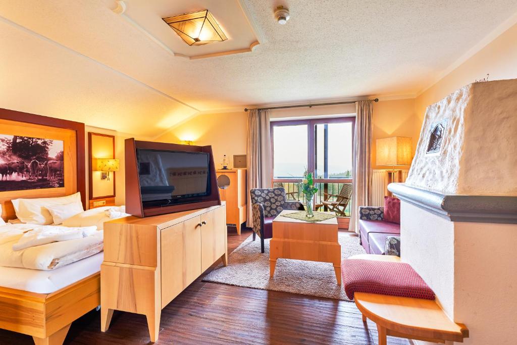 wellnesshotel-riedlberg-wellness-hotels-germany-5 Wellnesshotel Riedlberg Living Room